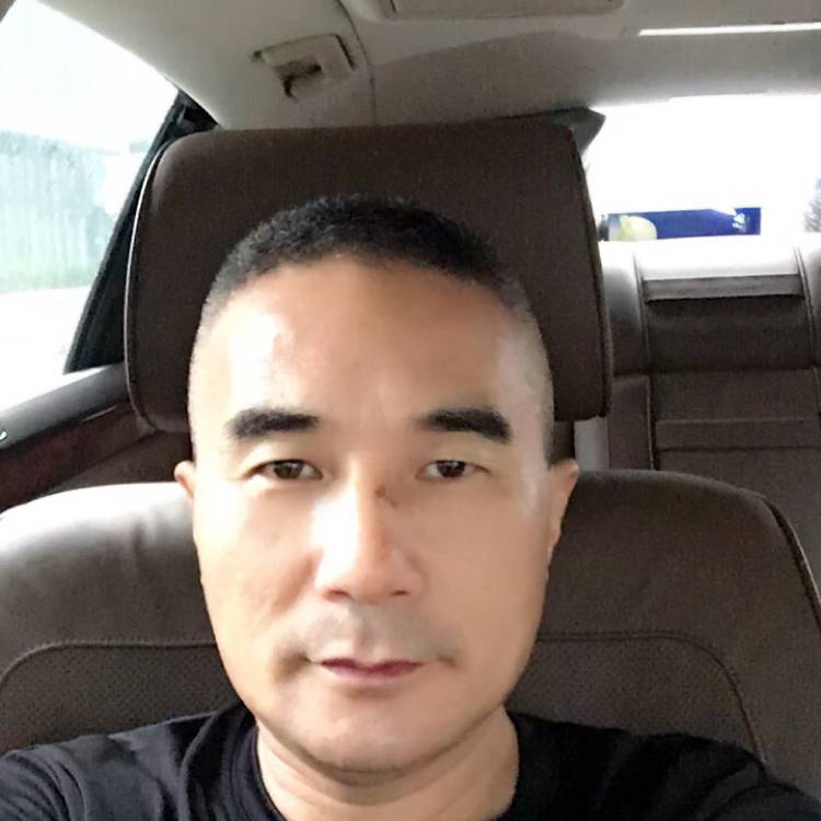 舒适小白菜的照片