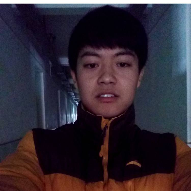 健壮小甜瓜的照片