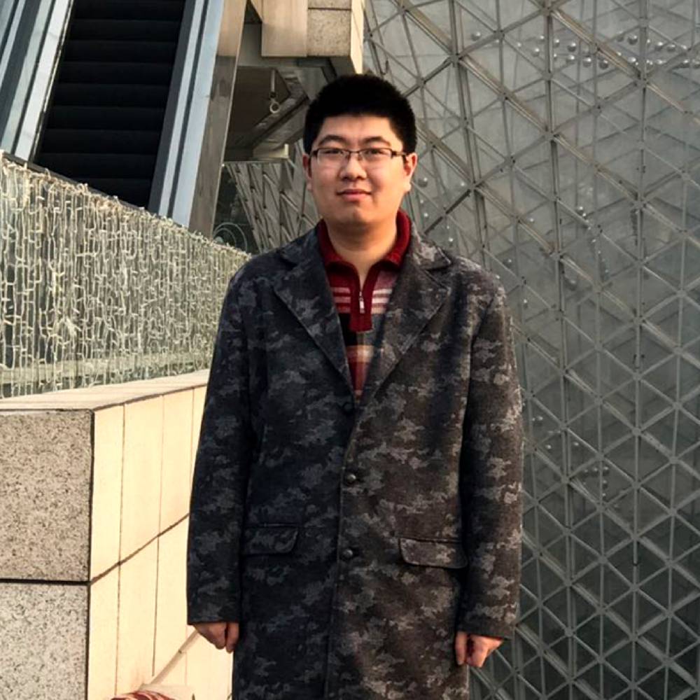 英俊白猫的照片
