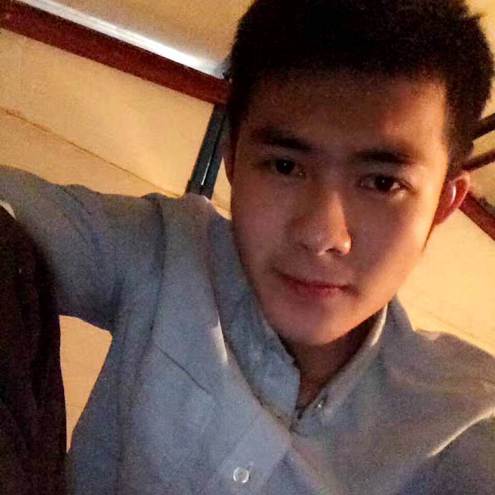 包容洋葱的照片