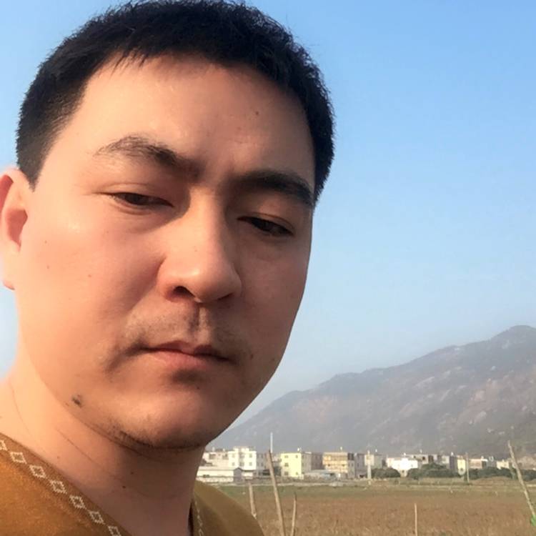 落拓狗的照片