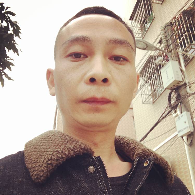 伶俐巨人的照片