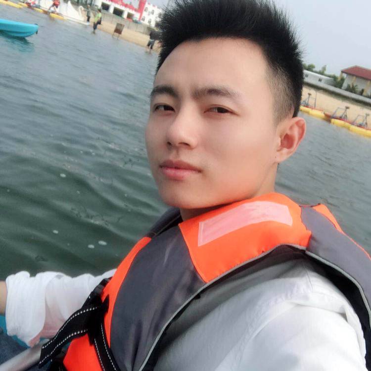 小巧南鸢的照片