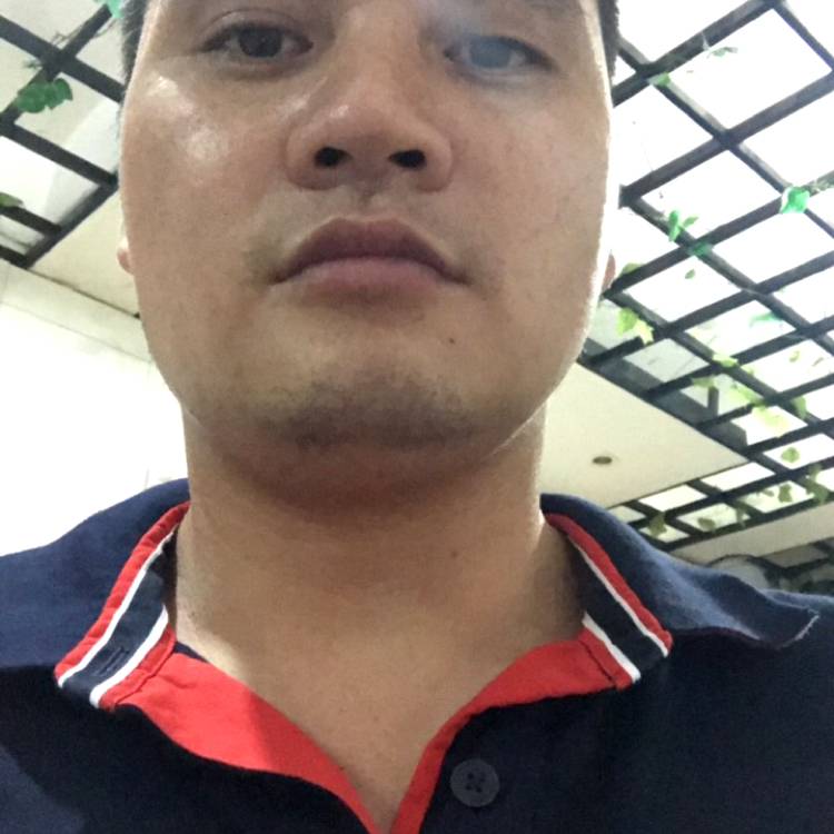缓慢丝袜的照片