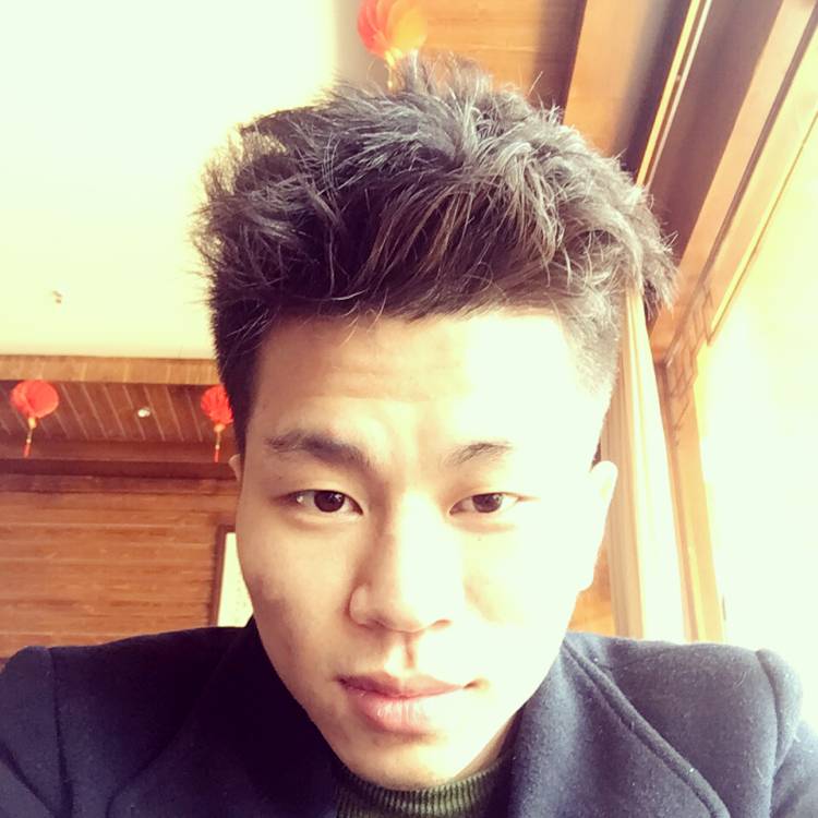 不听话的大炮的照片