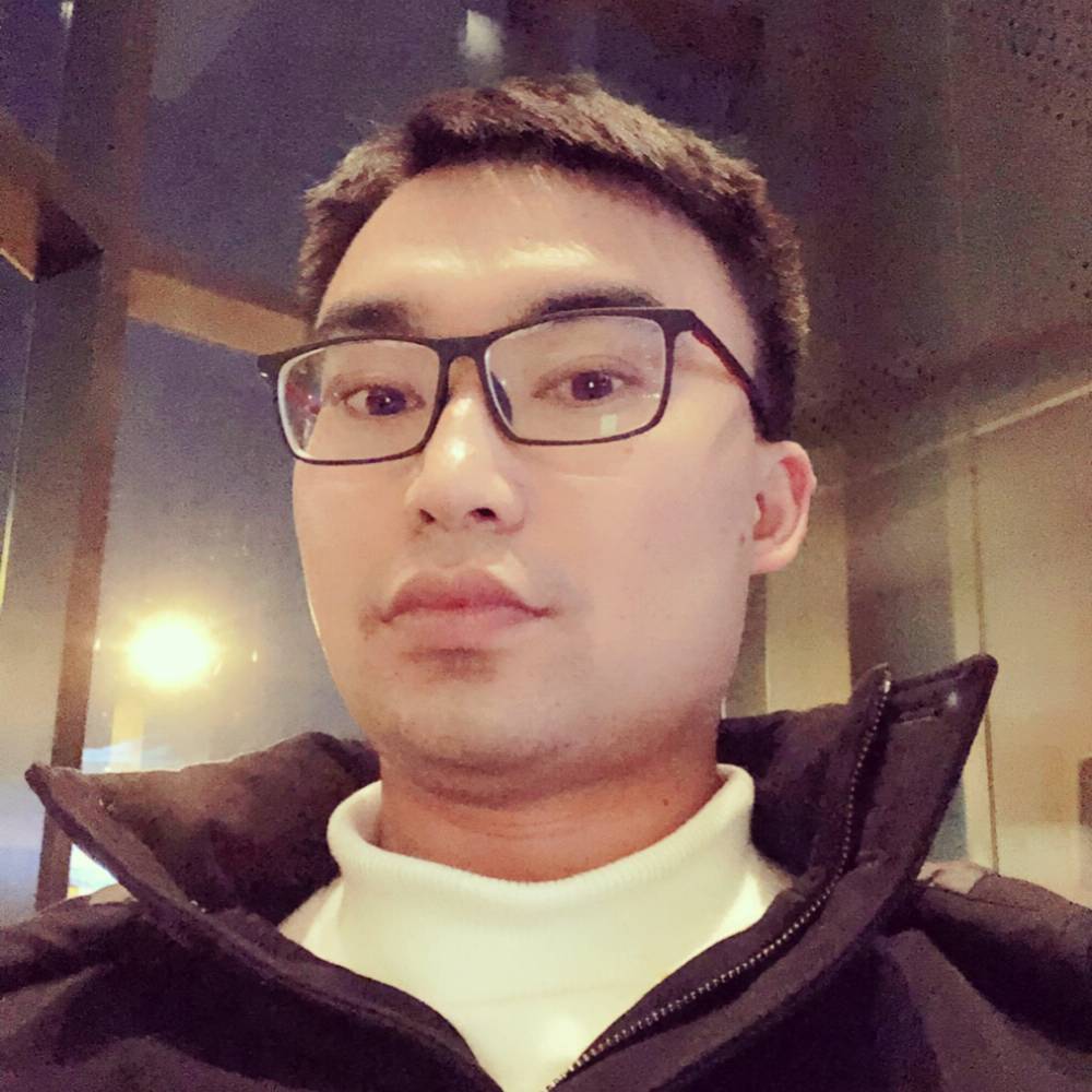发光的萤火虫的照片