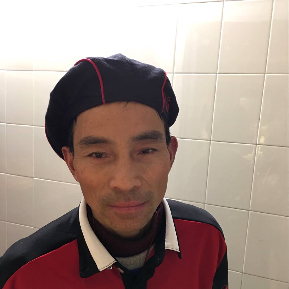 受伤小海豚的照片