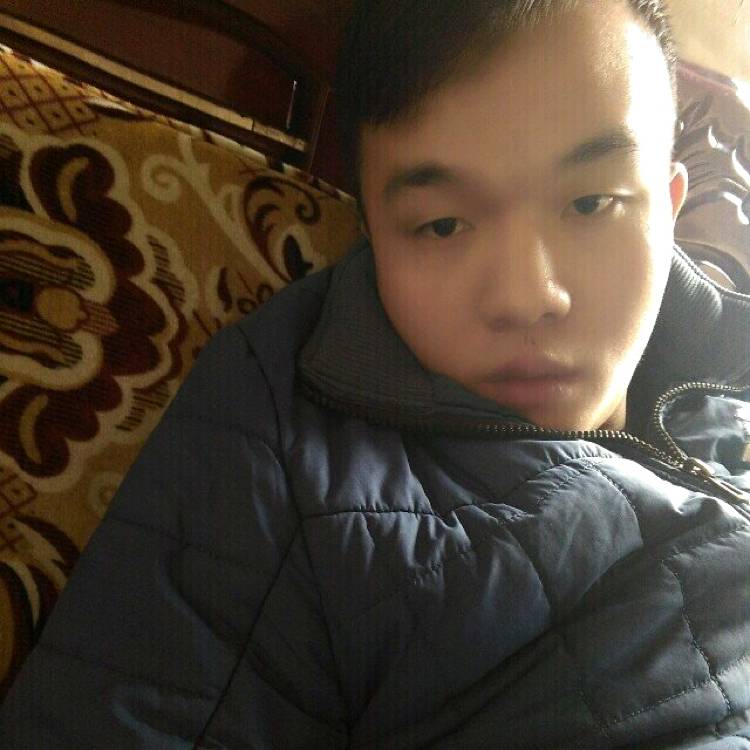典雅西牛的照片
