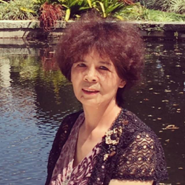 矫情森槿的照片