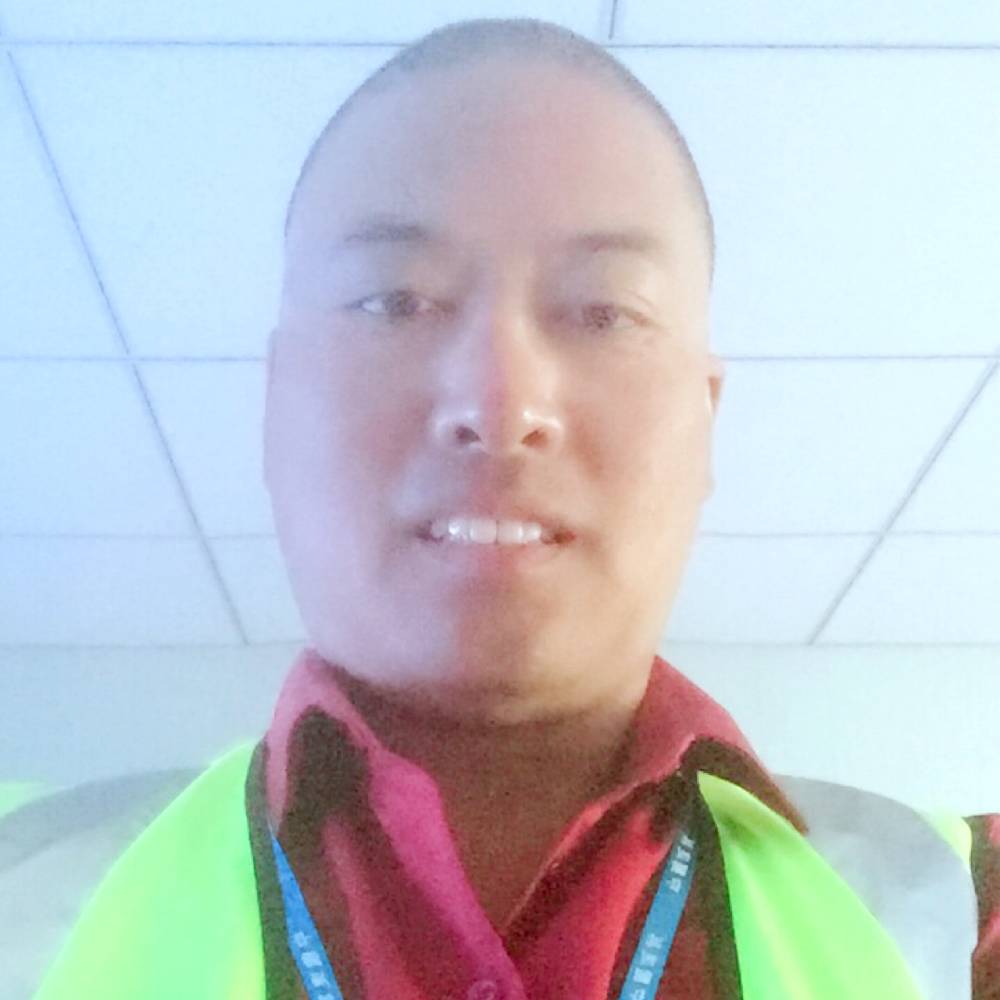 生动忘忧的照片