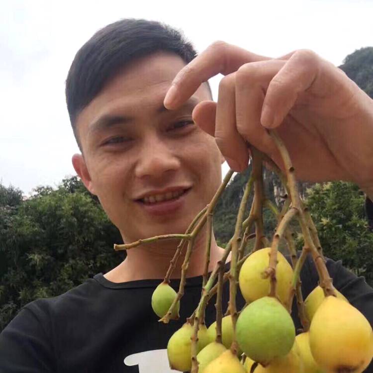 犹豫丝袜的照片