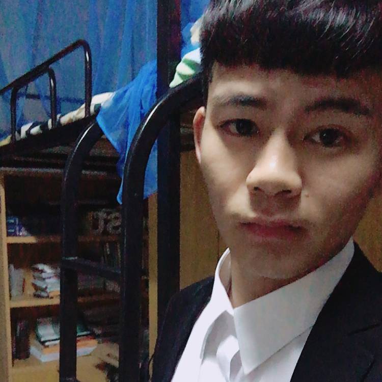 鳗鱼小刺猬的照片