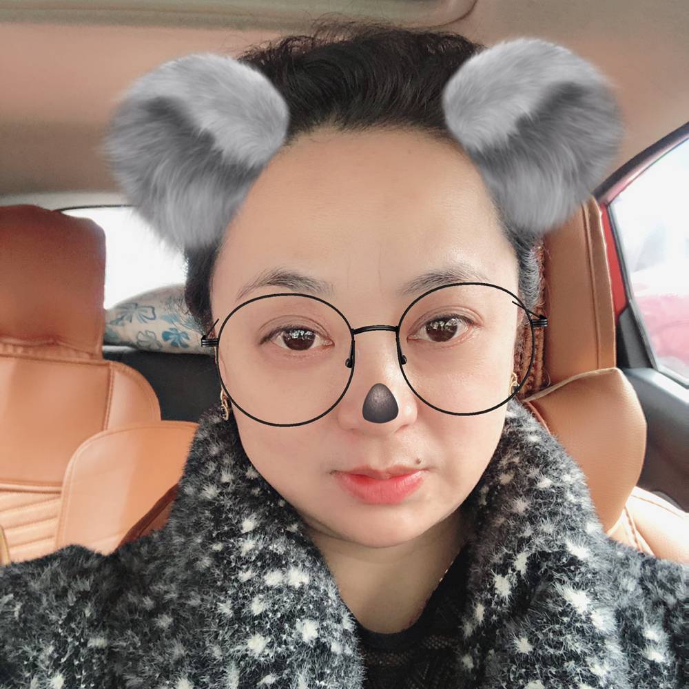 寒冷红玫瑰的照片