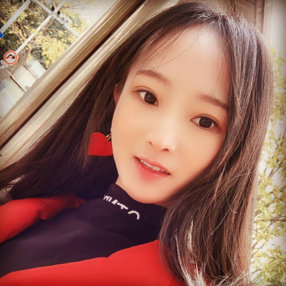 海豚ღ的照片