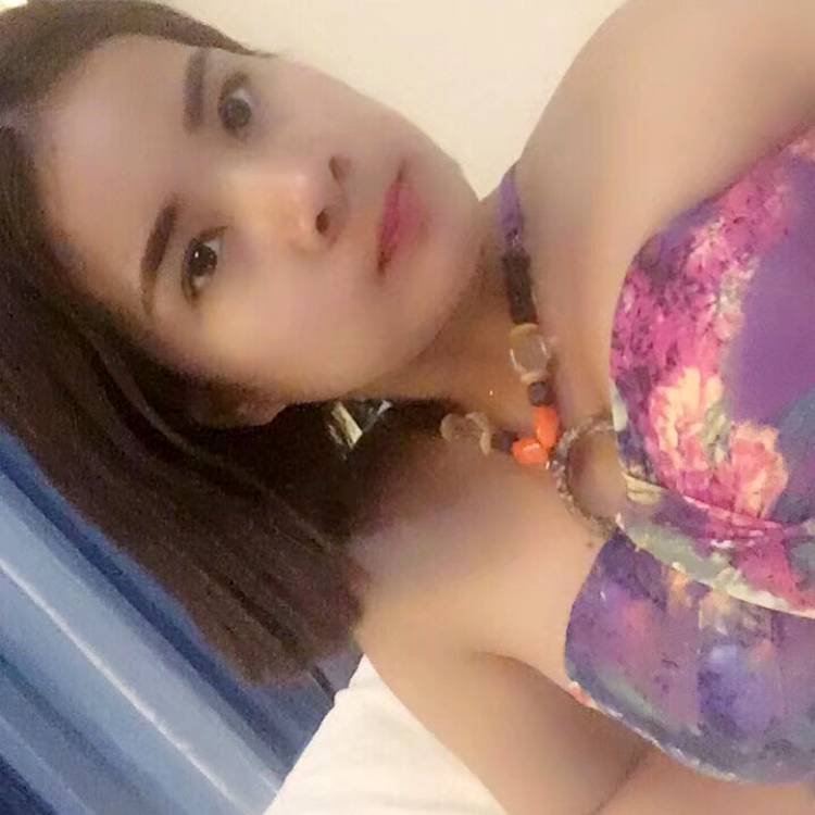 怕黑蘩藜的照片