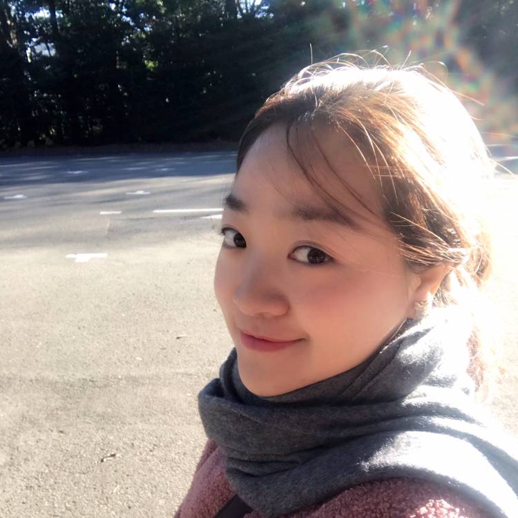 追光的叶子的照片