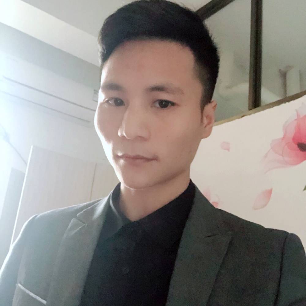 背后小海豚的照片