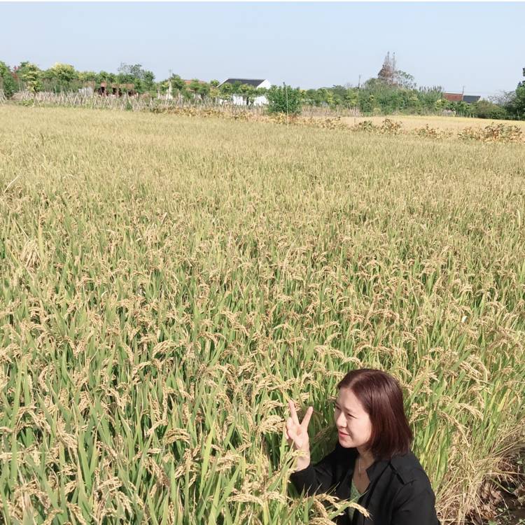美娅的照片