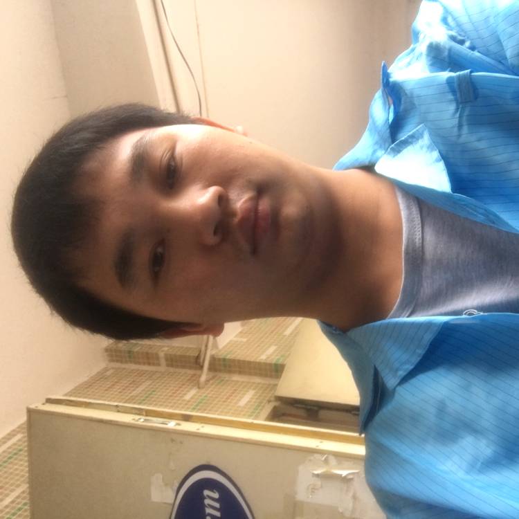追寻鸡翅的照片