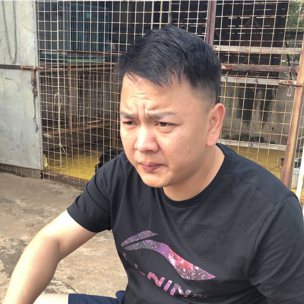 虚心月亮的照片