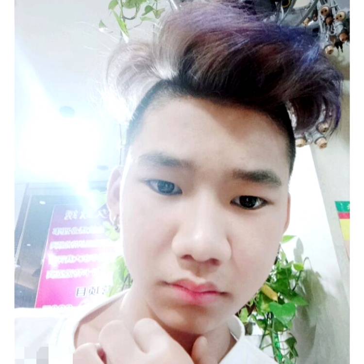 zz艾文的照片