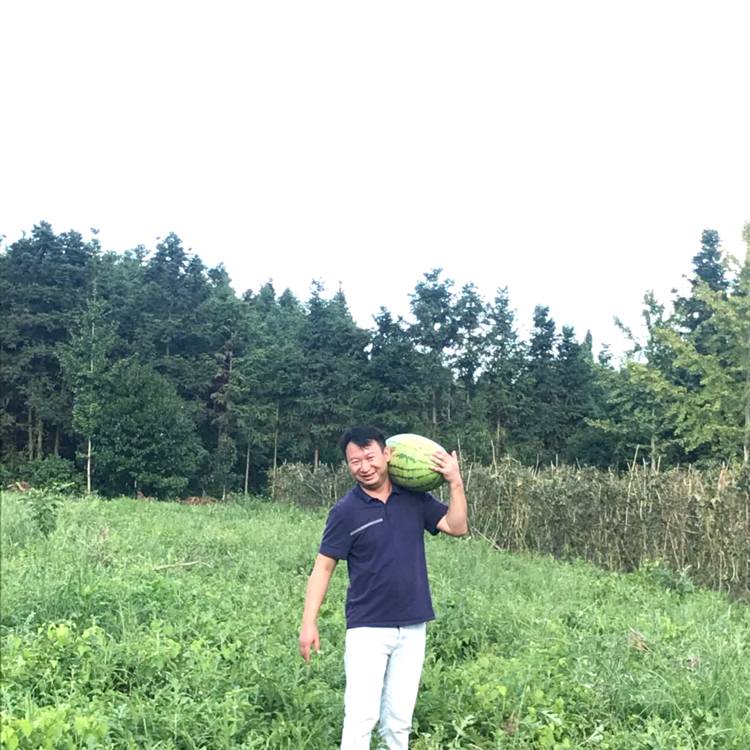 勤奋香烟的照片