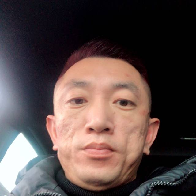 文艺含羞草的照片
