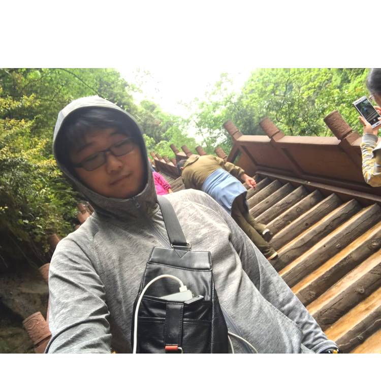 冰糖七葫芦的照片