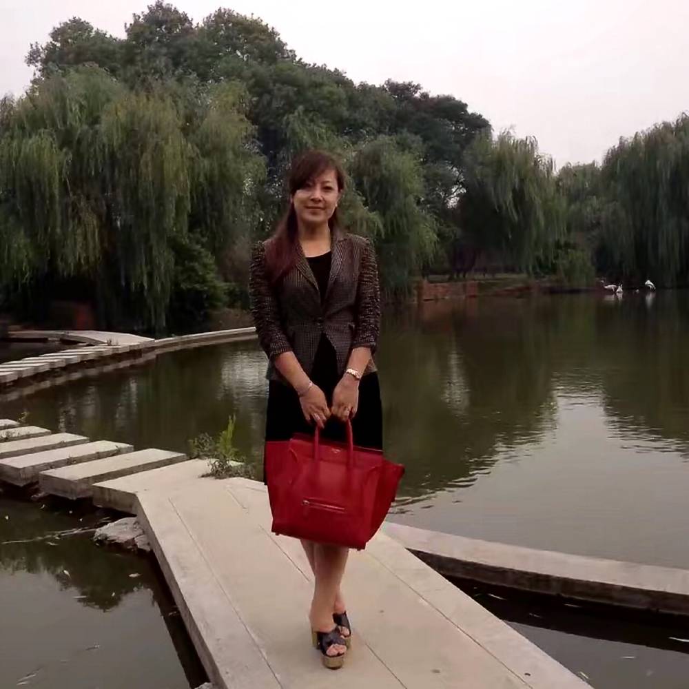 秀丽母鸡的照片