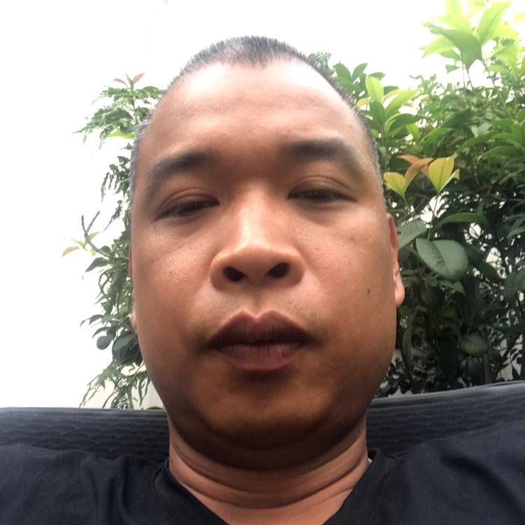 秀丽战斗机的照片
