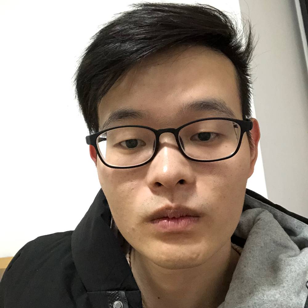 俭朴猫咪的照片