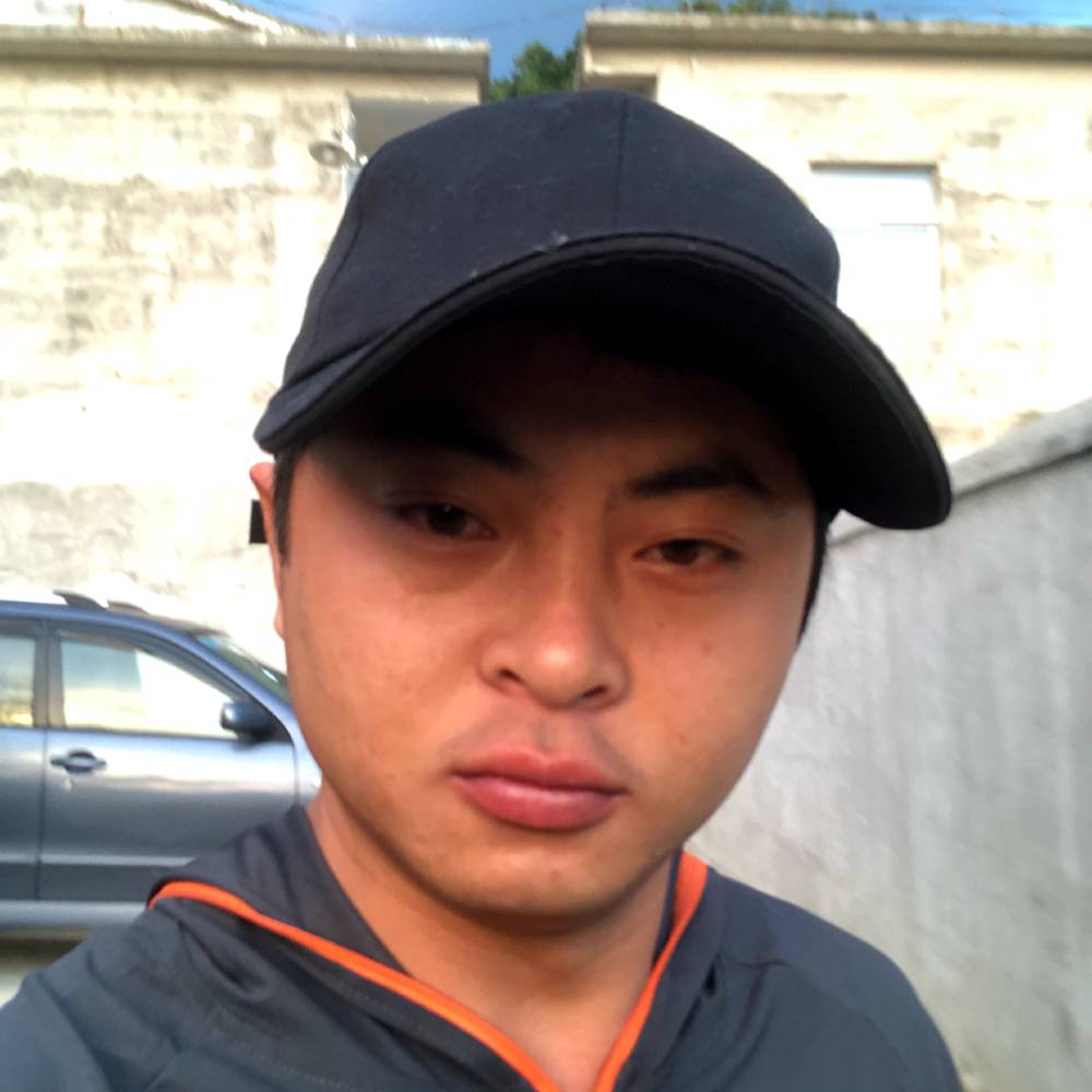 现实黄蜂的照片