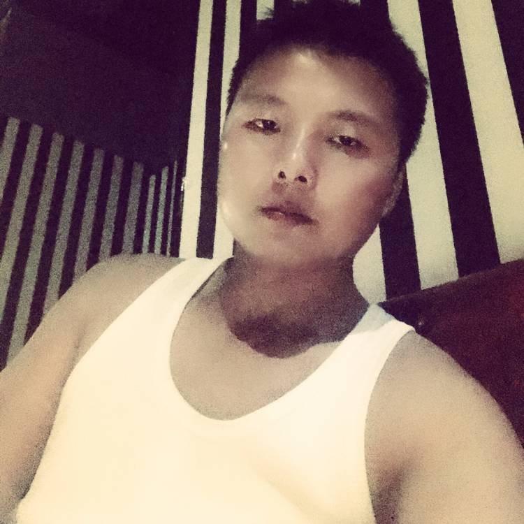 秀丽红牛的照片