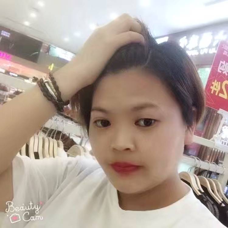 伶俐蚂蚁的照片