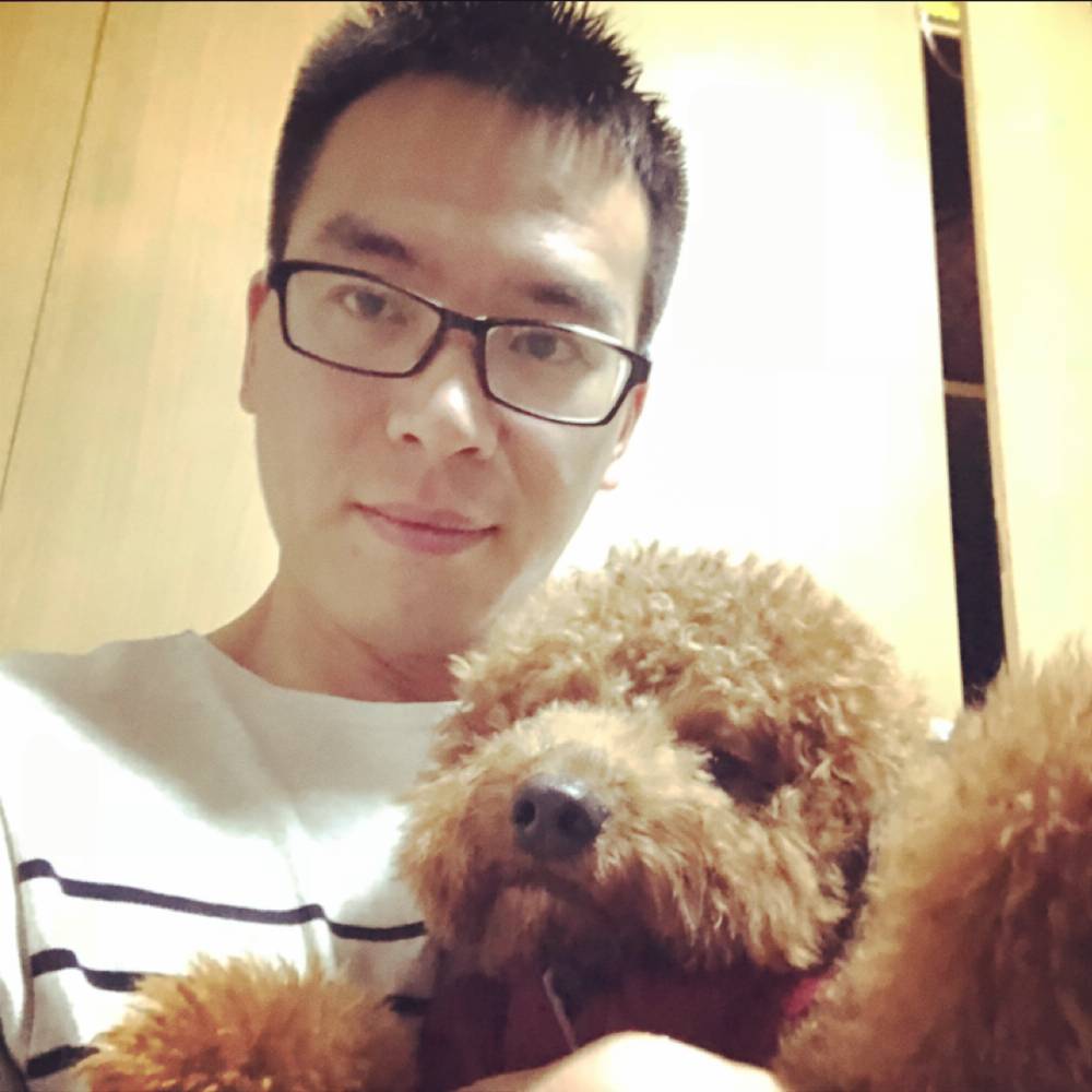 活力落霞的照片