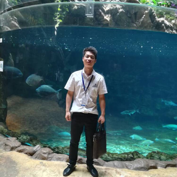 受伤金毛的照片