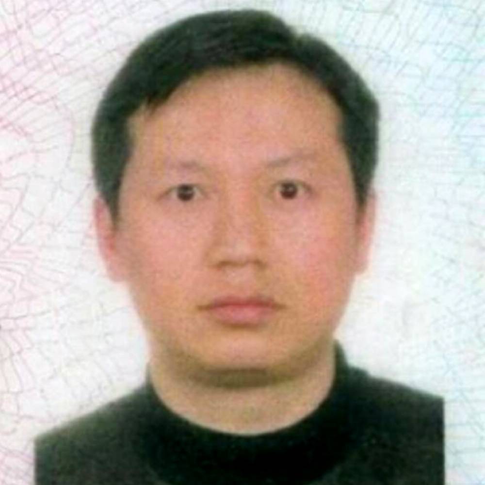 跳跃金针菇的照片