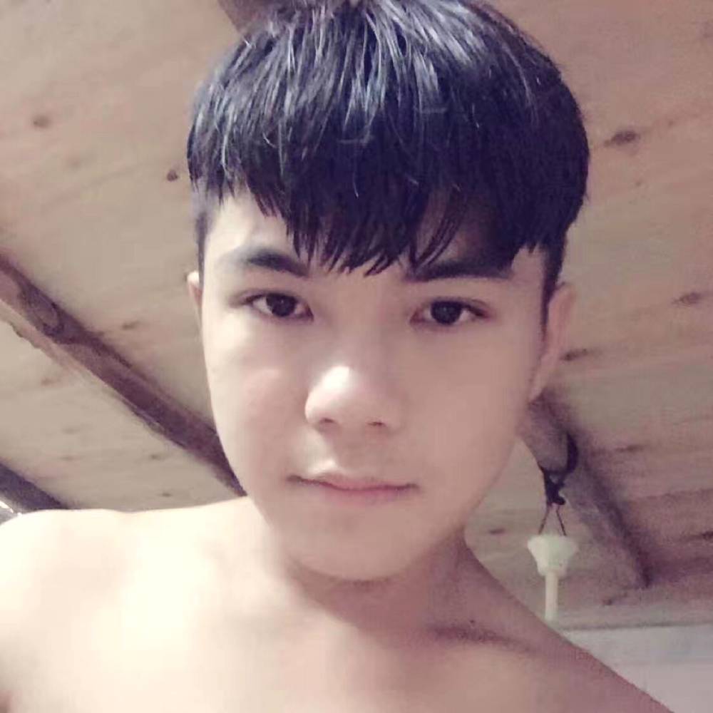 怕黑森槿的照片