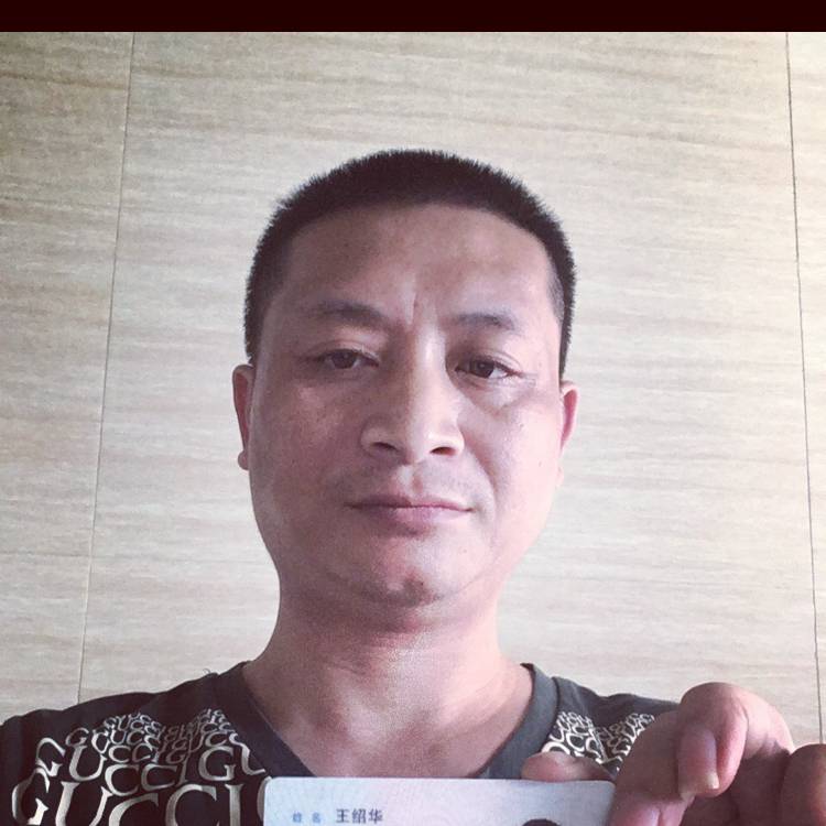 光亮羽毛的照片
