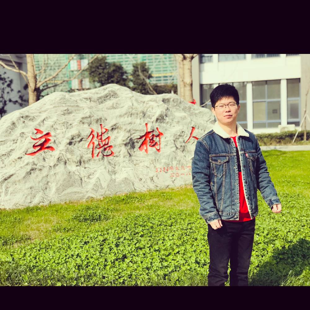 虚拟小海豚的照片