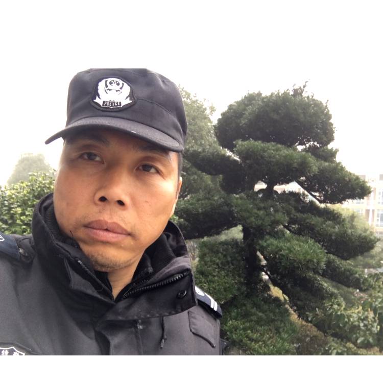 欣喜板凳的照片