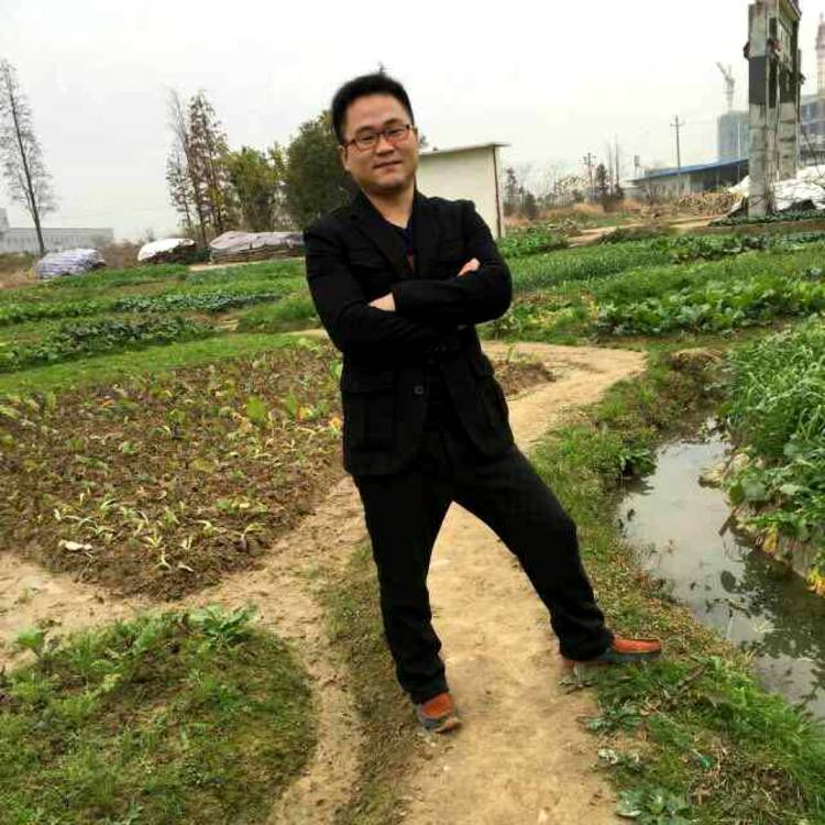 微笑太阳的照片