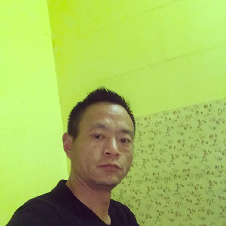 爱情的照片