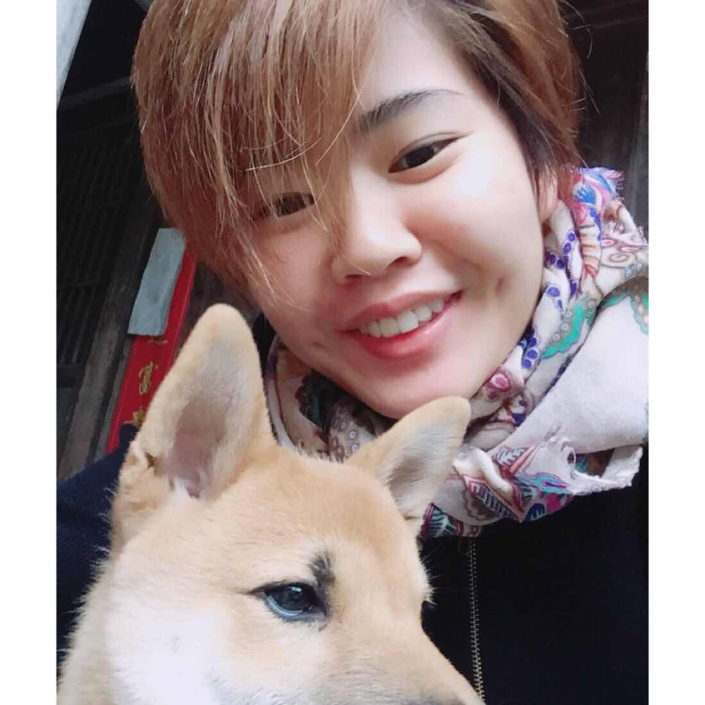 我鸿雁传书的照片