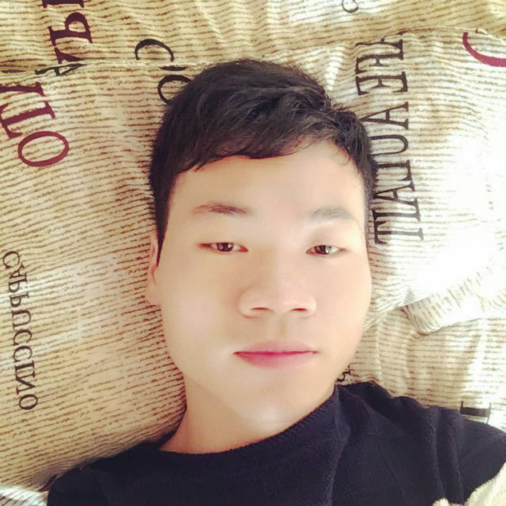 哈搂的照片