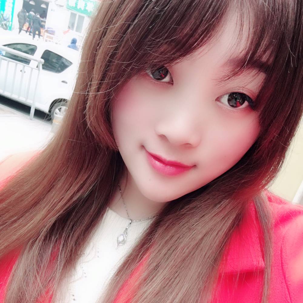 淡定的小海豚的照片