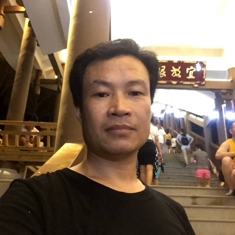 孤单，大雁的照片