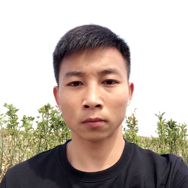 漫步的蜗牛的照片