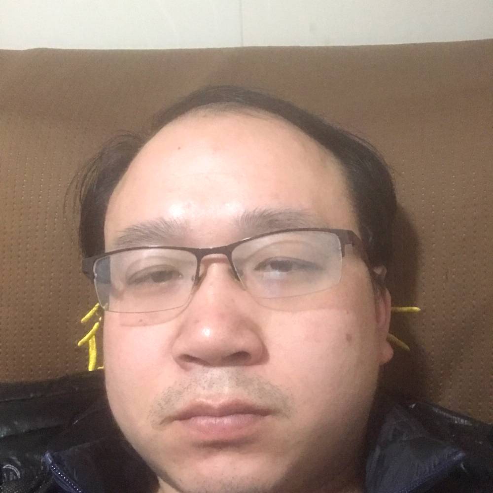 会飞的的照片