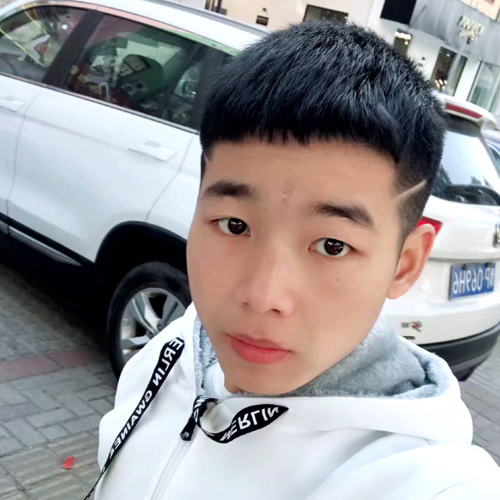 凯子与狗的照片